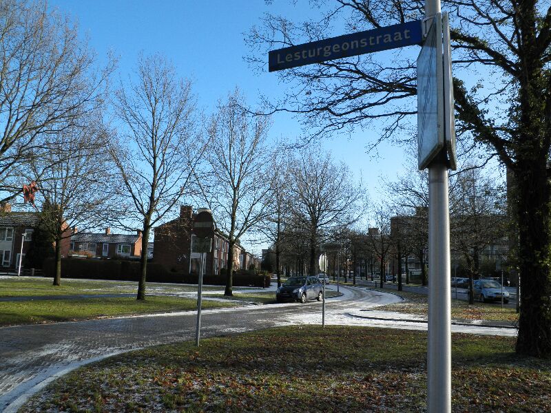 Lesturgeonstraat in Assen (foto: Sarien Visser)