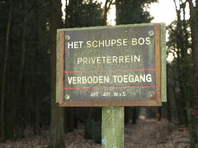 Schupse bos